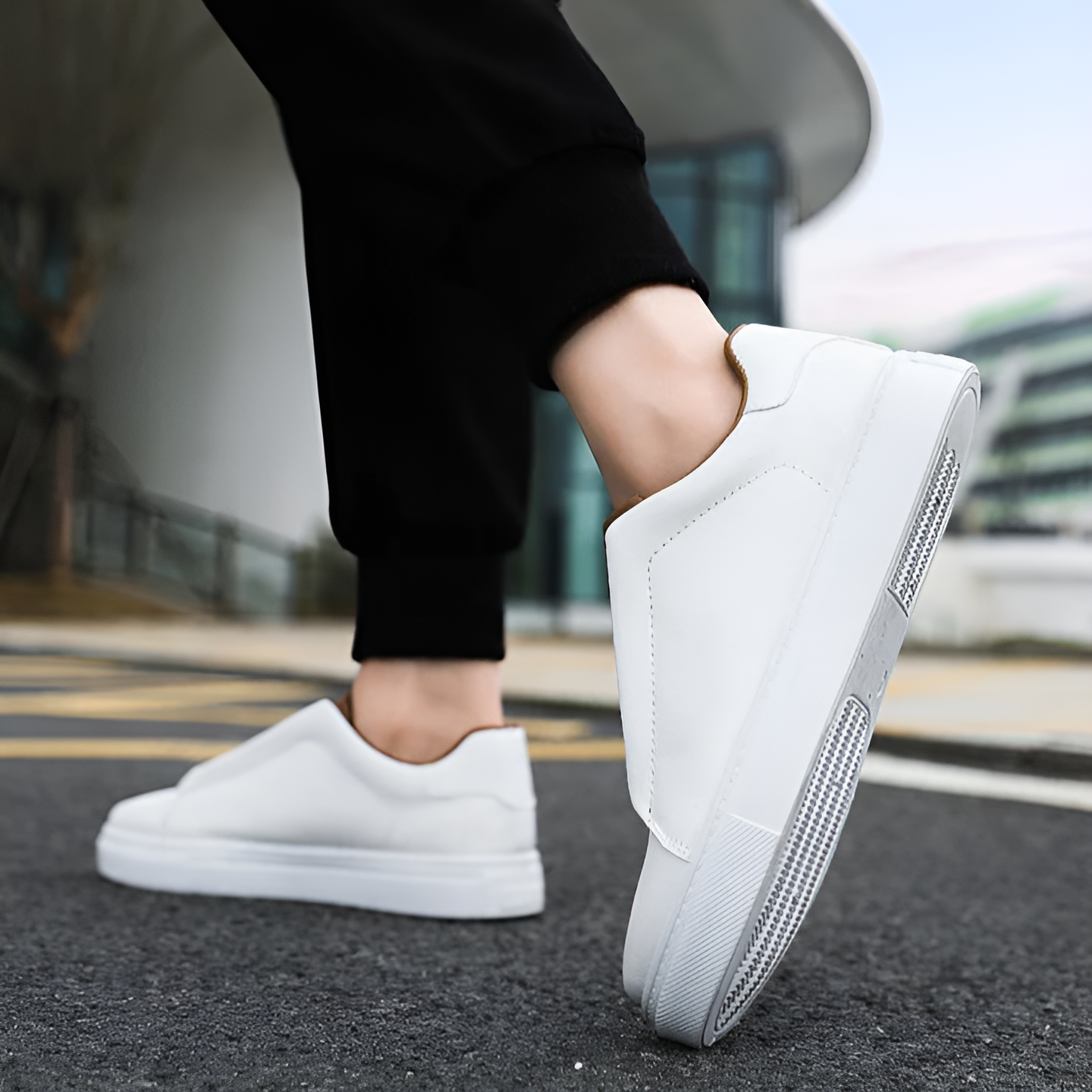Bernardo™ | Chic Tossud